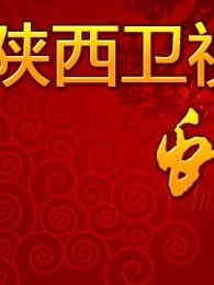 陕西卫视2013春晚