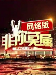 非你莫属网络版