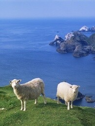 bbc:西蒙·金的设得兰岛日记