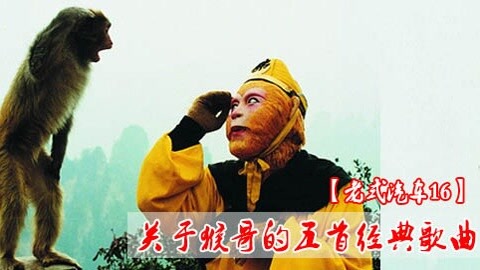 猴哥猴哥你真了不得
