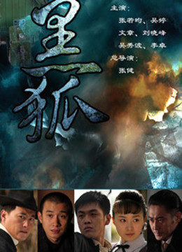 黑狐(更新至38集)-全集在线观看-电视剧-爱奇艺全网影视