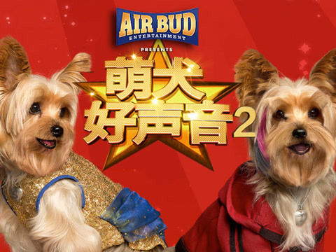 萌犬好声音2